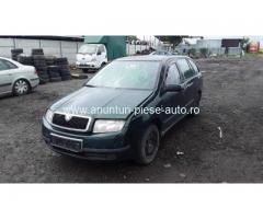 Dezmembrez Skoda Fabia